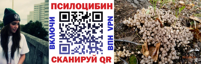 Псилоцибиновые грибы Magic Shrooms  закладки  Карталы 